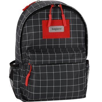 Рюкзак Bagland Stylish 24 л сублімація 1339 (00518694) 1119020716 фото